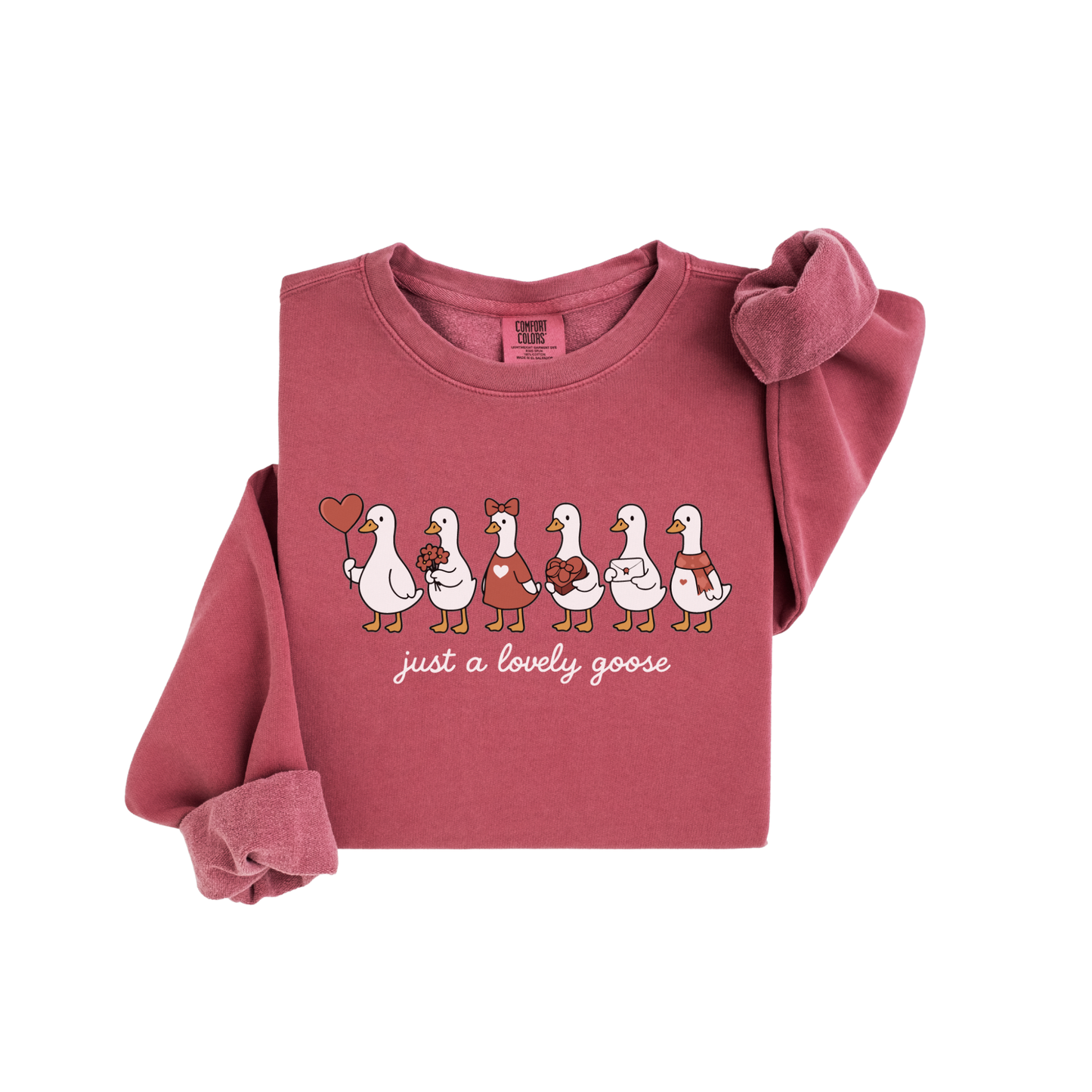 LOVELY GEESE SWEATSHIRT