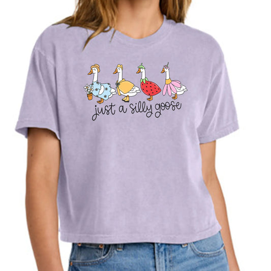 SILLY GOOSE T-SHIRT knotsandnook